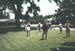 Photo0045